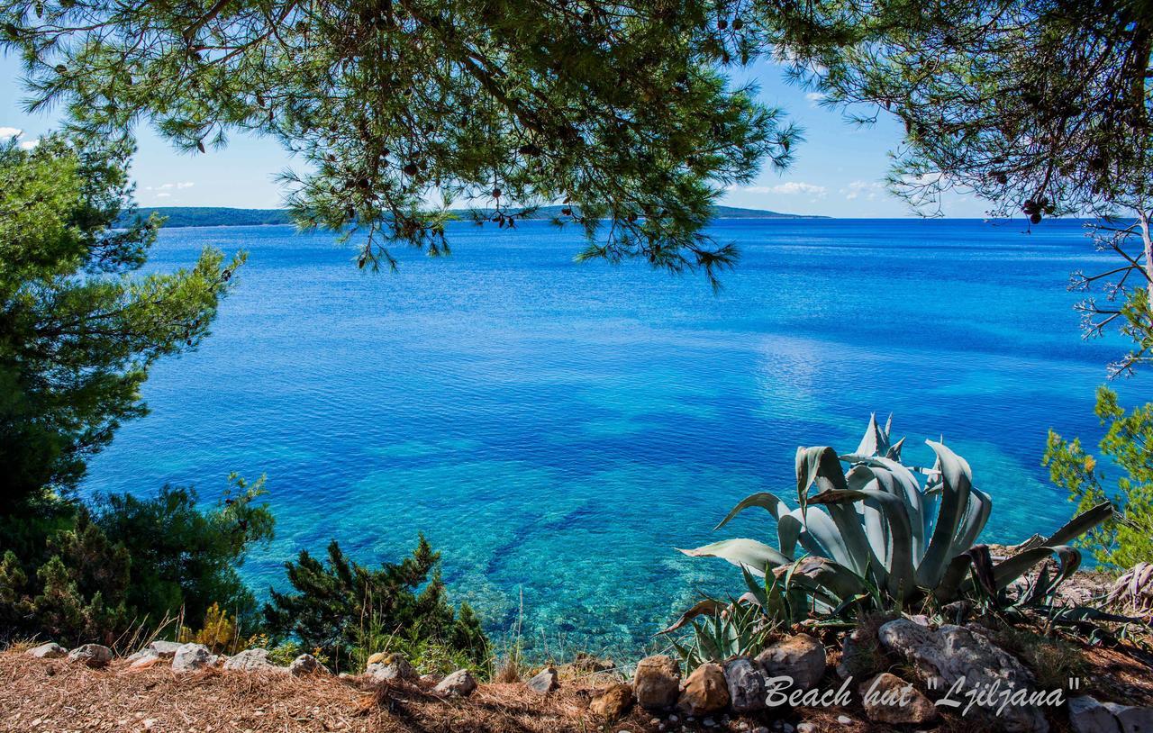 Cast Away - Eco Resort Zavala Dış mekan fotoğraf
